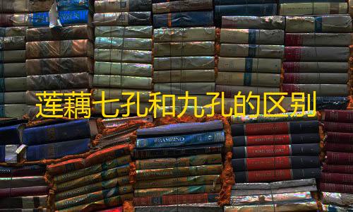 和平精英直装公益版莲藕七孔和九孔的区别